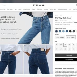 Everlane The Way-High Jean NWOT